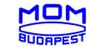 Гиротеодолит