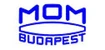 Гиротеодолит